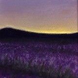 Lavender Vision, 4"x6" pastel, SOLD